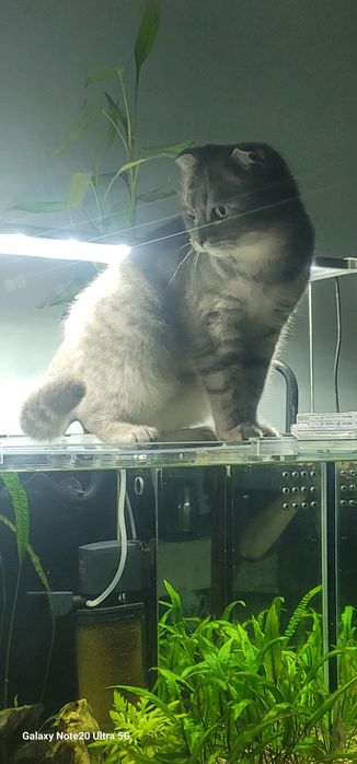 Аквариум 240 литр польный комплект