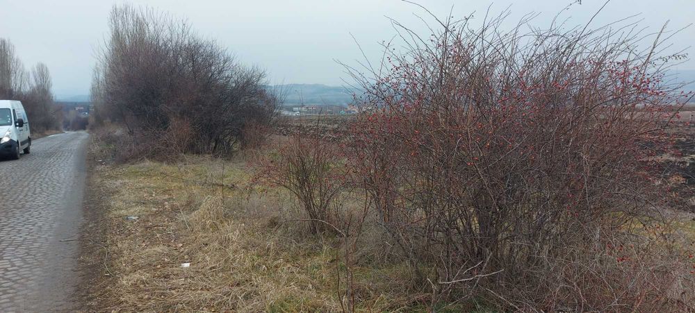 Продава се Земеделски имот в Сливница -  кв.м за 18667 €/дка - Снимка #7