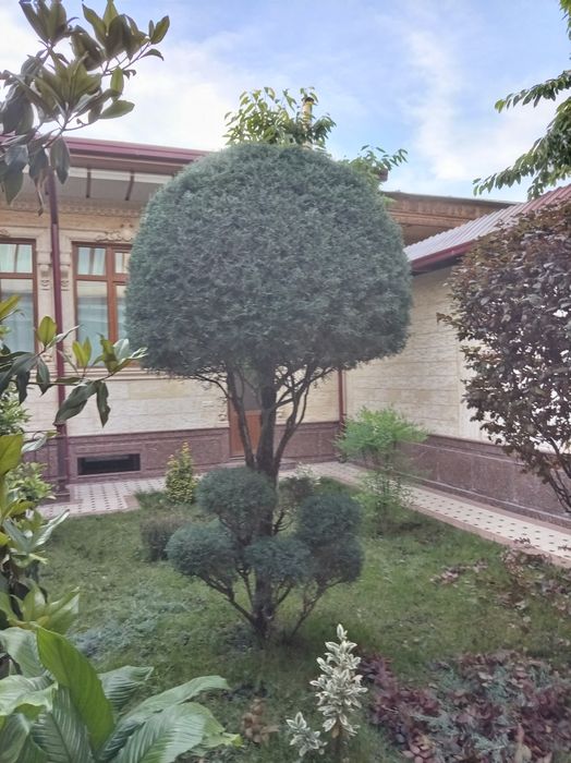 Archa kesish va izgritga  shakl berish xizmati