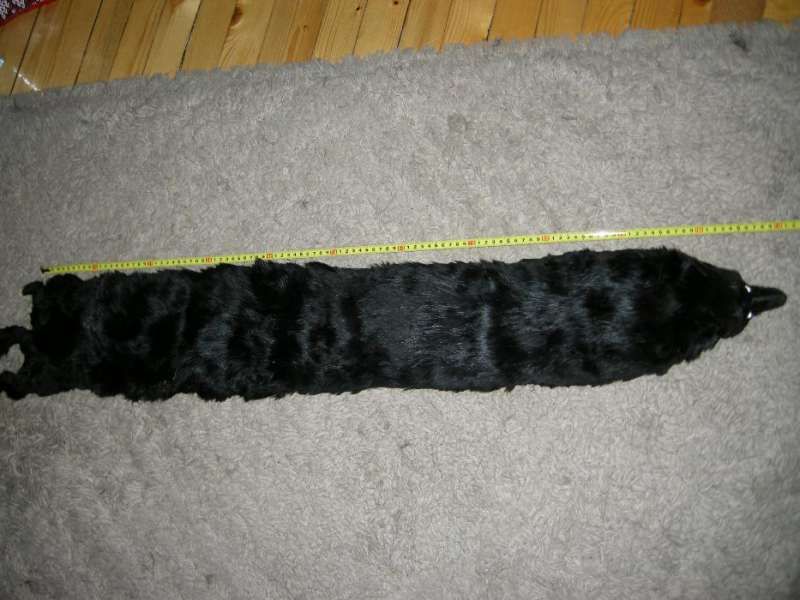 продавам яка от лисица - 2 бр