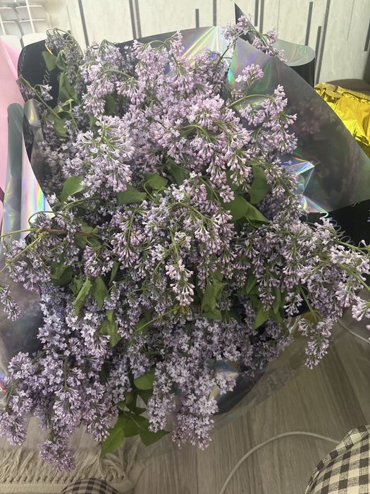 Сирень большой букет