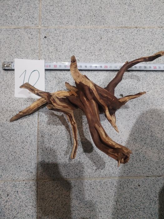 Корени за аквариум, терариум, паладиум