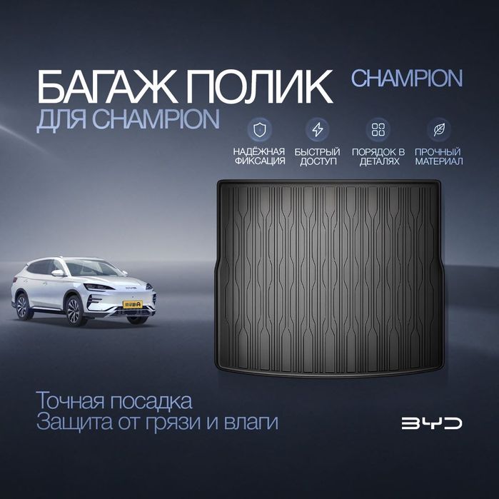 Багажный TPE коврик для BYD Champion