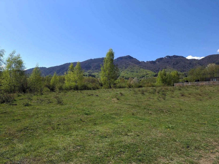 Teren intravilan 500 mp.  Zărnești/Tohănița