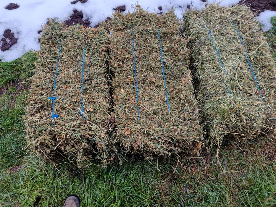 Vând baloți lucernă