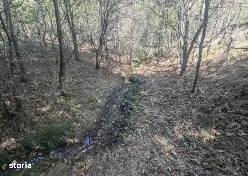 Teren extravilan Loc. Valea Mare, jud. Valcea