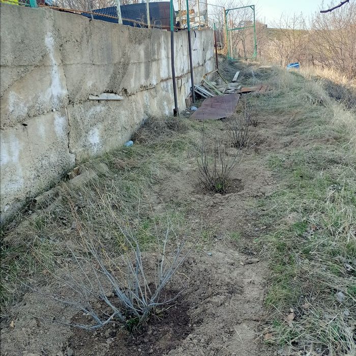 Дача 21 соткa Турарские