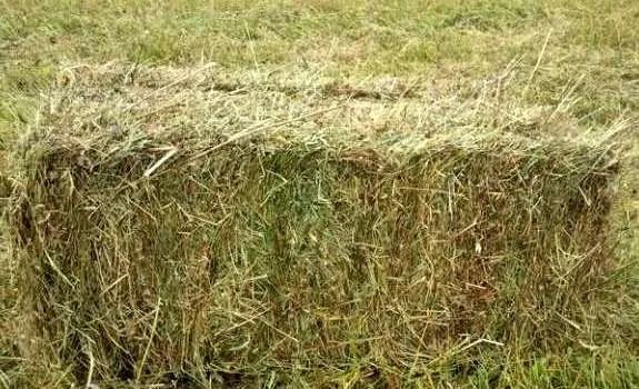 Baloți Dreptunghiulari Fan / Otava