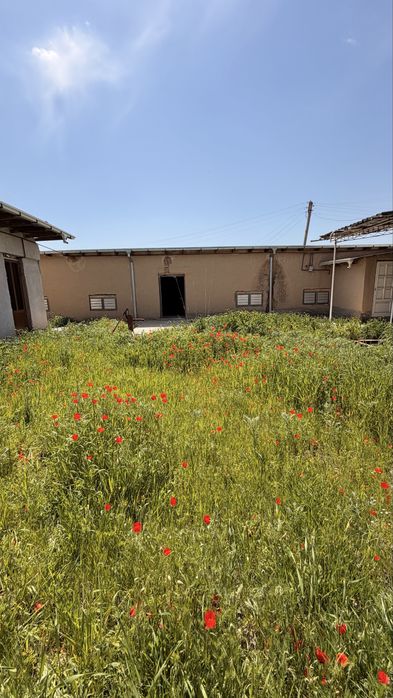 Зудлик билан 9 соток Ховли сотилади 40.000$