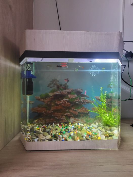 Аквариум 45 и 10 литров