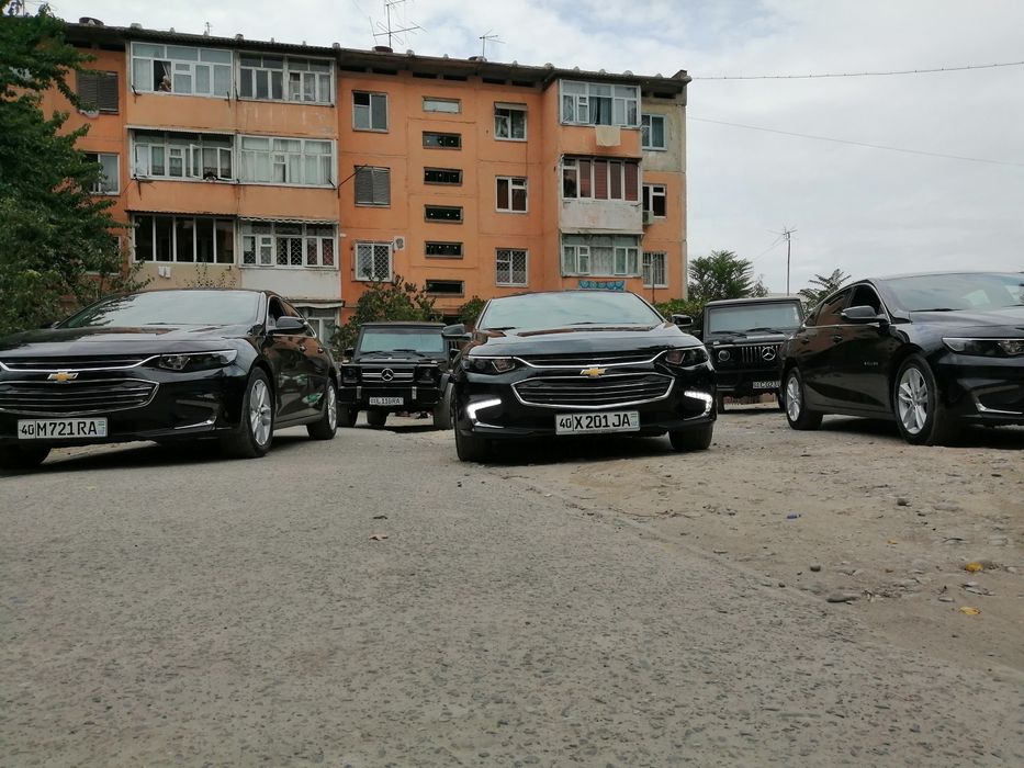 Туй ва маросимлар учун малибу 2 хизматингизда