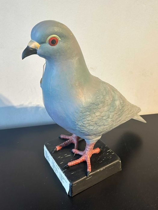 Соц Учебен Анатомичен Модел на Гълъб