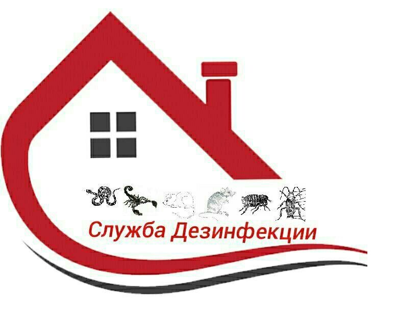 Уничтожение ящерица 24/7 Дезинфекция Дизинфекция Дизинфексия