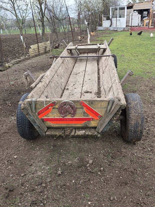 Iepe de vânzare,cu căruța și hamuri