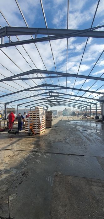Vand hala metalică 20x55x4