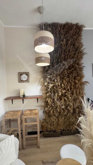 Продава се Заведение в Пловдив, Център - 70 кв.м за 122 €/кв.м - Снимка #1