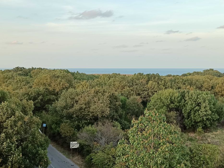 Продава се Едностаен апартамент в с. Варвара, Област Бургас - 29 кв.м за 984 €/кв.м - Снимка #15