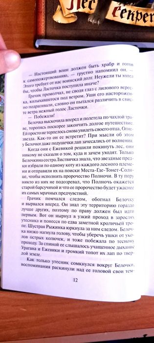 Коты воители. Рассвет