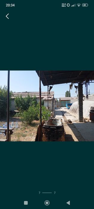 Уй учасика, Юқори чирчиқ