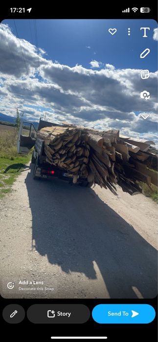 Deseuri de brad la balot