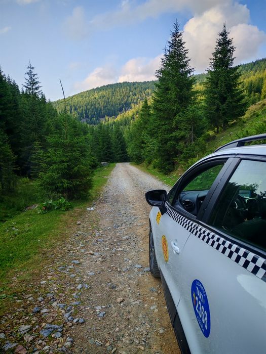 Cesiune autorizație taxi