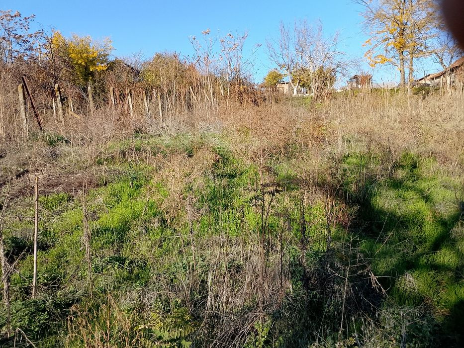 Двор в село Пдем