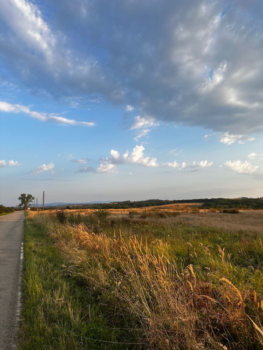 Vand 8 ha teren agricol la asfalt Stiuca (18km de Lugoj)