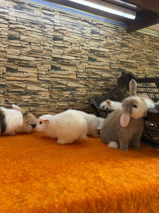 Подарок для детей