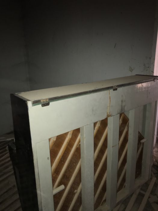 Продаётся пионина