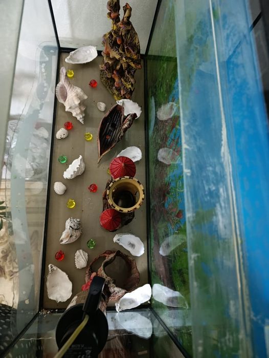 Продам Аквариум.