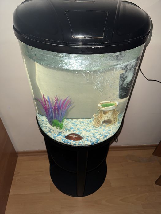 Аквариум великолепный!