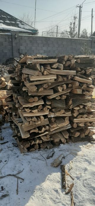 Дрова Алматы и область
