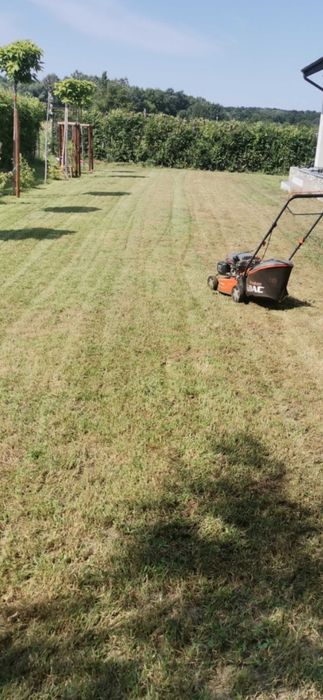 tund iarba/gazon tund gard viu/taiere copaci curatenie outdoor