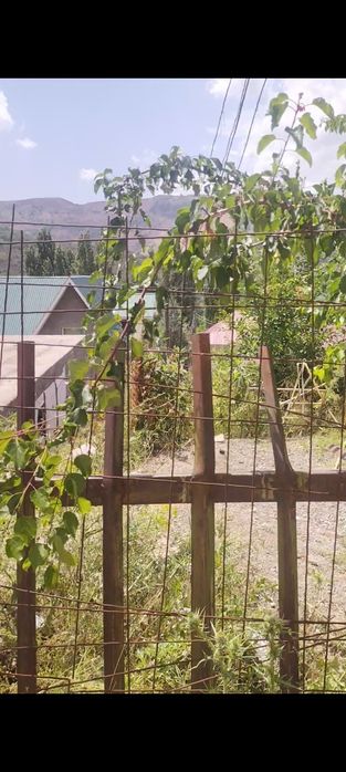 Продаётся участок 8 соток в Чимгане. Ер сотилади 8 соток Чимёнда.
