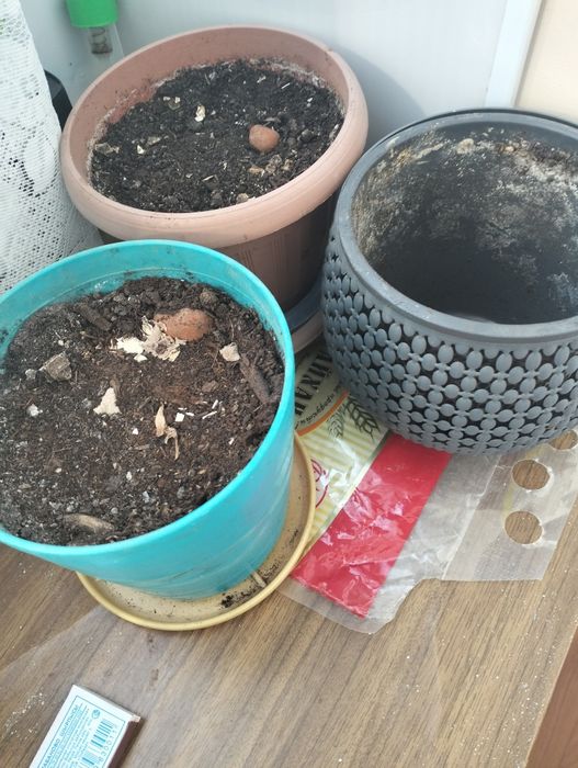 Продам горшки для цветов
