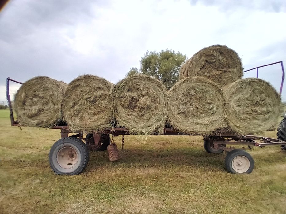 Vând baloti de otava