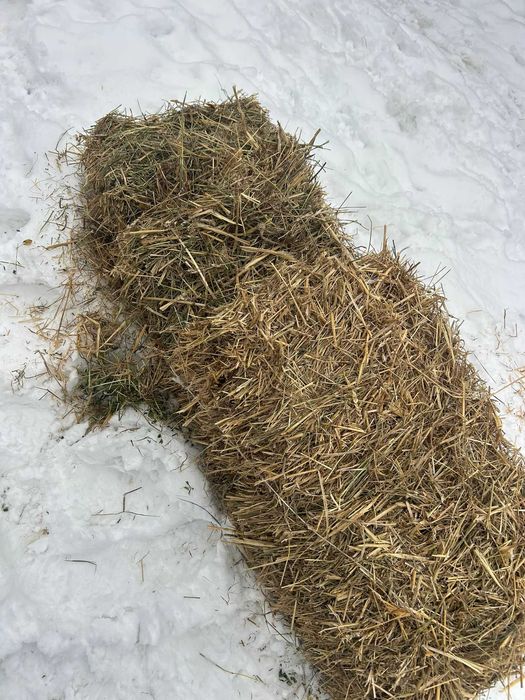 Vand baloti de paie si lucerna