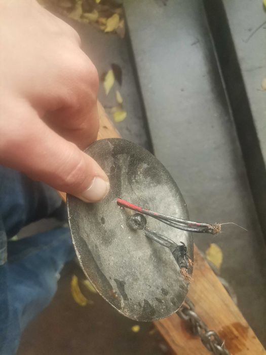 Декоративен лампеон