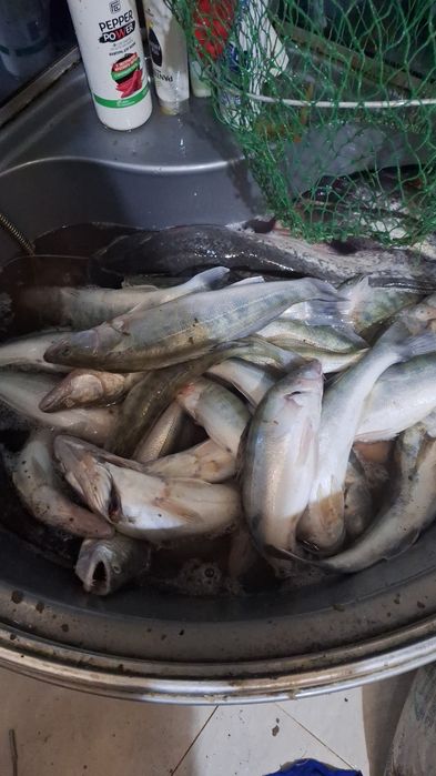 Свежая рыбы местная