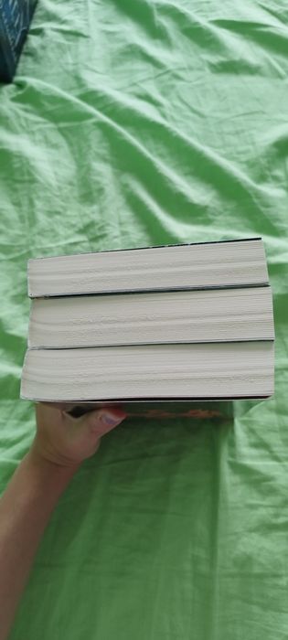 Shadow and bone trilogy by Leigh Bardugo