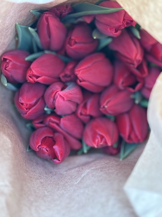 ТЮЛЬПАНЫ оптом и в розницу