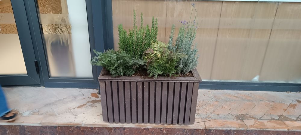 ландшафтный дизайн, газон, деревья и цветы landshaft dizayn, gazon, da