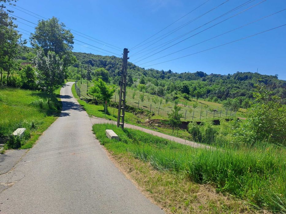 Vind livada 120 pomi fructiferi mixt, intravilan,3400 m,linga asfalt posibilitate constructie casa,ingradita,mai multe informati in privat 0726083166