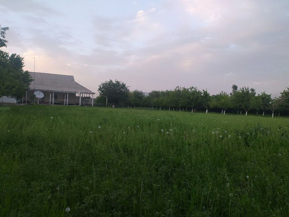 Sirdaryo viloyati Sayxunobod tumani 35 SOTIX XOVLI UY SOTILADI