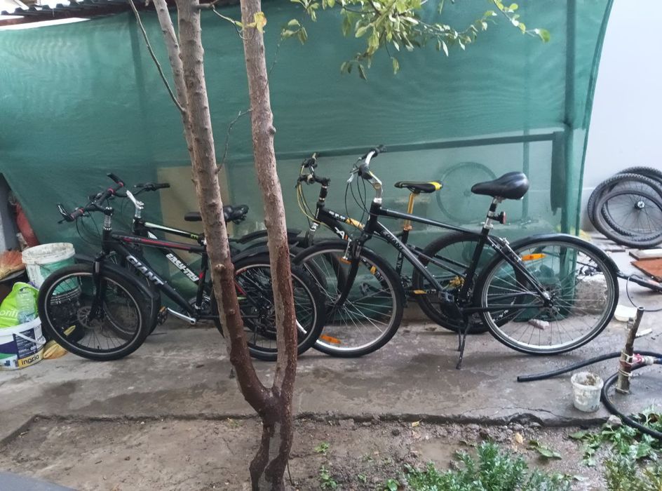 аренда велосипед + велосипед прокат, Velosiped ijara, prokatga oyiga