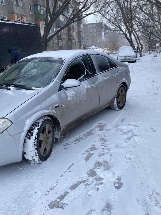 Продам малина ниссан примера п12