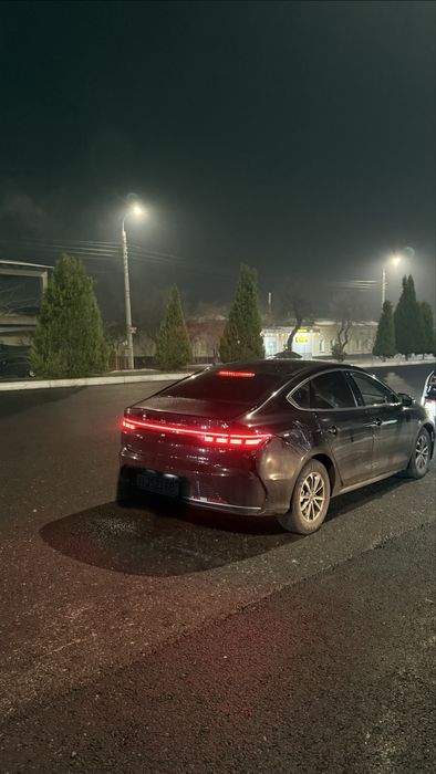 Chazor 2024 Holati idial