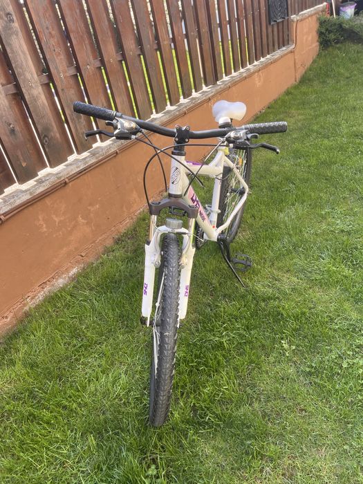 Vand bicicleta DHS NIOBE ‘26