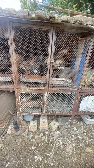 Клетка дом за зайци  6 прозореца