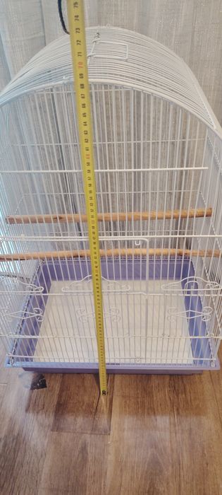 Colivie mare papagali.